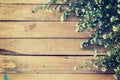 Flowers on wood texture background with copyspace. Vintage style Royalty Free Stock Photo