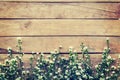 Flowers on wood texture background with copyspace. Royalty Free Stock Photo