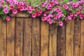Flowers wood texture background Royalty Free Stock Photo