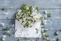 Flowers on wooden background. envelope with a spring flower arrangement spring flowers on blue wooden background. Springtime and n