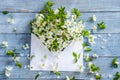 Flowers on wooden background. envelope with a spring flower arrangement spring flowers on blue wooden background. Springtime and n