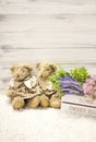 Flowers in a wooden box and cute bears. Flowers in a white wooden box, plush vintage bears. Romantic gift