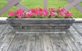 Flowers in a wooden flower bed on the terrace. Pink petunias on the street. Royalty Free Stock Photo