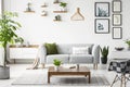 Flowers on wooden table in front of grey sofa in scandi flat interior with posters and armchair. Real photo