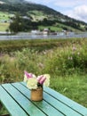 Flowers on wooden table in Norway