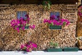 Flowers in the woodshed, South Tyrol, Italy - Italy