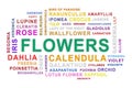 Flowers word cloud.