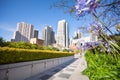 Flowers in Yerba Buena Gardens park, San Francisco