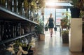 Flowers, young florist carrying plants in buckets and in plant nursery with lens flare. Agriculture or carbon footprint Royalty Free Stock Photo