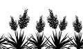 Flowers Yucca silhouette, horizontal seamless