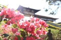 Zulai temple, flowers