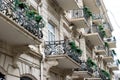 Flowery balcony in a city street. Flowerpots and house plants on the balcony. Classic style balcony with flowers