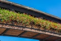 the flowery balcony of the Forst Palace, Bolzano, South Tyrol, Italy Royalty Free Stock Photo