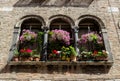 Flowery balcony on a Venice building Royalty Free Stock Photo