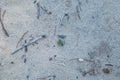 Flowery Branch, Georgia USA March 21, 2021 A Corona beer bottle cap on the beach