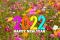 Colored cosmos flowers for new year 2022 greetings