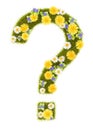 Flowery Grassy Question Mark Shape Isolated Royalty Free Stock Photo