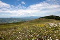 Flowery mountain landscape in spring Royalty Free Stock Photo