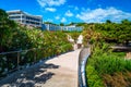 Flowery promenade and beach hotels in Hvar island, Dalmatia, Croatia