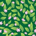 Flowery seamless background 2 Royalty Free Stock Photo