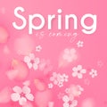 Flowes and Petals. Realistic 3D background. Pink cherry blossom design. Spring time Royalty Free Stock Photo