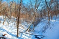 Brook in winter forest Royalty Free Stock Photo