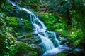 Flowing Buttermilk Falls