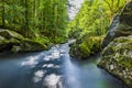 Flowing creek Ilz in the  Forest Royalty Free Stock Photo