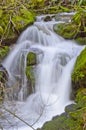 Flowing Creek Waterfall Near Loon Lake