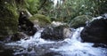 Flowing creek water in the rain forest jungle Royalty Free Stock Photo