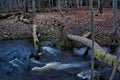 Flowing Forest River with Fallen Trees in Keila-Joa, Estonia Royalty Free Stock Photo