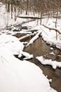 Flowing forest stream water in winter. Coast snow