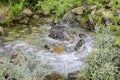 Flowing river Lake Hemsila in Hemsedal, Viken, Buskerud, Norway Royalty Free Stock Photo