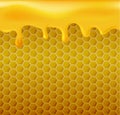 Flowing honey on yellow hexagonal realistic honeycomb seamless texture