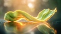 A flowing, illuminated green fabric or leaf-like shape resting on a reflective surface