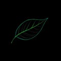 Flowing Light Lines Forming a Leaf Royalty Free Stock Photo