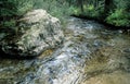 Flowing mountain stream in Grand Teaton, USA Royalty Free Stock Photo