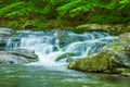 A flowing mountain stream Great Smoky Mountain National Park Royalty Free Stock Photo