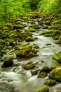 Flowing mountain stream Great Smoky Mountain National Park Royalty Free Stock Photo