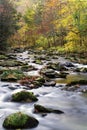 A flowing mountain stream in Smoky Mountain National Park Royalty Free Stock Photo