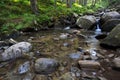 Flowing mountain stream and stones Royalty Free Stock Photo