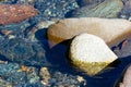 flowing mountain stream with transparent water and stones on bottom Royalty Free Stock Photo