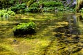 Flowing mountain stream with transparent water Royalty Free Stock Photo