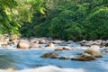 Flowing mountain stream with transparent water and stones Royalty Free Stock Photo