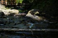 Flowing mountain stream with transparent water and stones on bottom Royalty Free Stock Photo