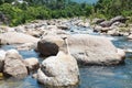 Flowing mountain stream with transparent water and stones Royalty Free Stock Photo