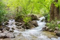 Flowing mountain water Royalty Free Stock Photo