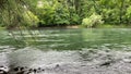 Watching the flowing river Aare in the forest