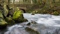 Flowing river in a forest under a brickstone bridge.