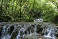 Flowing river and green deep forest background Royalty Free Stock Photo